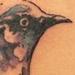 Tattoos - Mockingbird Tattoo - 67290