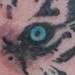 Tattoos - Tiger - 67407