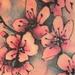Cherry Blossoms Tattoo Tattoo Thumbnail