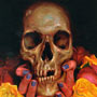 Cranial Visions: Exploring The Skull Through Artis