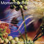 Moments of Epiphany