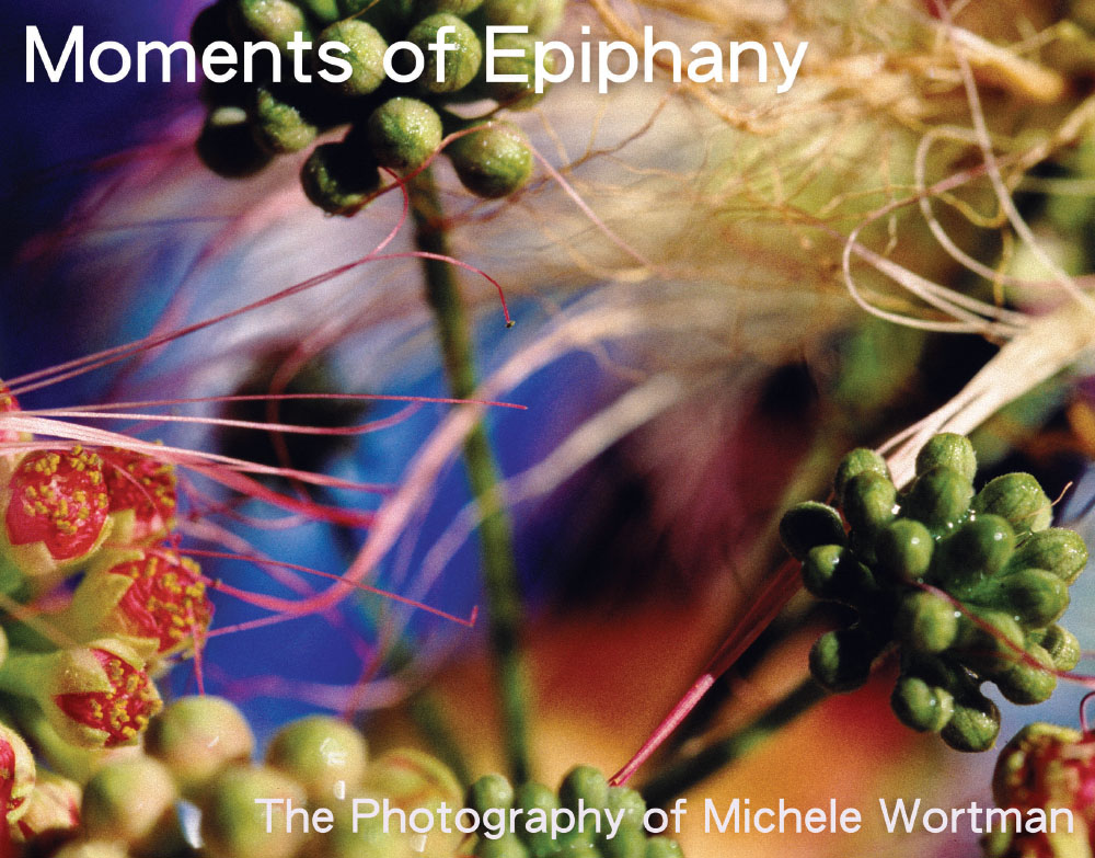 Moments of Epiphany