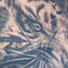 tattoo galleries/ - Tiger Polynesian Tattoo - 59843