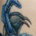 Tattoos - Tarantula and Scorpion tattoo - 66438