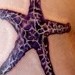 tattoos/ - Starfish Tattoo - 51752