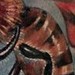 tattoo galleries/ - Blueberry sleeve detais