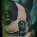 tattoo galleries/ - French bulldog half sleeve