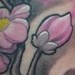 tattoo galleries/ - Cheery blossom