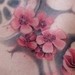 tattoo galleries/ - Cherry blossom back