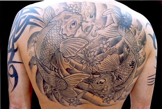 Looking for unique Tattoos Black and Gray Koi Fish Tattoo