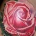tattoo galleries/ - Rose Tattoo