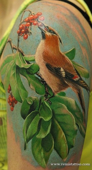 Remis Tattoo - Bird Half Sleeve Tattoo
