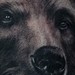 Tattoos - grizzly bear tattoo - 52143