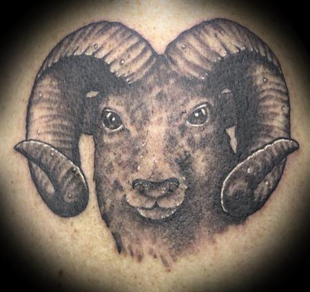 Tattoos - Ram Black and Grey Portrait - 60769