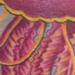 tattoo galleries/ - jellyfish