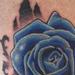 tattoo galleries/ - blue rose - 57217