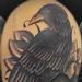 tattoo galleries/ - Blackbird and Skull Cover Up