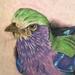 tattoos/ - Bird is the Word - 63396
