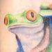 tattoos/ - Red-eyed Tree Frog - 62983