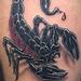 tattoo galleries/ - OEF Scorpion - 62246