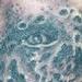 tattoo galleries/ - 