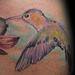 tattoo galleries/ - Hummingbird Drinking - 60752