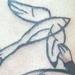 tattoo galleries/ - Black and Grey Bird Tattoo - 60480