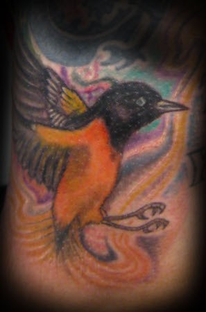 Tattoos - Orange Oriole Bird Tattoo