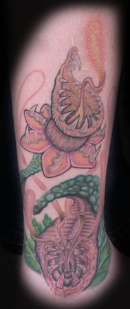 Tattoos - 