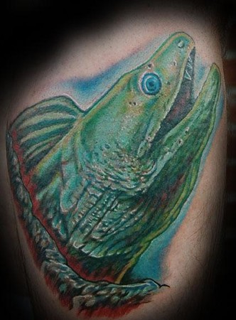 Evan Olin - moray eel
