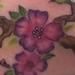 tattoo galleries/ - Cherry Blossom Foot