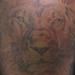 tattoo galleries/ - Johnel's Lion