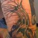 tattoo galleries/ - Spooky ole tree - 59286