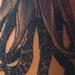tattoo galleries/ - cephalopod