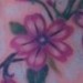 tattoo galleries/ - 3 Little Birds Cherry Blossom Tattoo Foot View - 50086