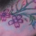 tattoo galleries/ - 3 Little Birds Cherry Blossom Tattoo Foot/ Side View - 50084