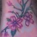 tattoo galleries/ - 3 Little Birds Cherry Blossom Tattoo Foot/Front View - 50085