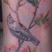 tattoo galleries/ - 3 Little Birds Cherry Blossom Tattoo Side View