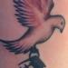 tattoo galleries/ - Birdnade - 59273