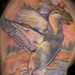 tattoo galleries/ - Kurt's Black Duck Arm