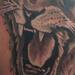 tattoo galleries/ - Black and Grey Tiger