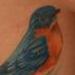 tattoo galleries/ - Bluebirds and Cherry Blossoms Part II - 56705