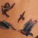 tattoo galleries/ - Bluebirds and Cherry Blossoms Part III - 56706