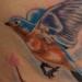 tattoo galleries/ - Bluebirds and Cherry Blossoms - 56704