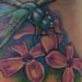 Alicia's Dragonfly Tattoo Design Thumbnail