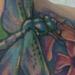 tattoo galleries/ - Dragonfly Detail - 60883
