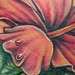 Tattoos - hibiscus coverup - 36818
