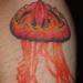 tattoo galleries/ - Jellyfish 