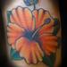 tattoo galleries/ - untitled