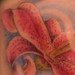 tattoo galleries/ -  - 41308